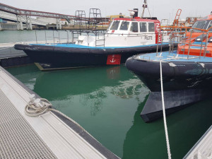 Bateaux de pilotage de seine